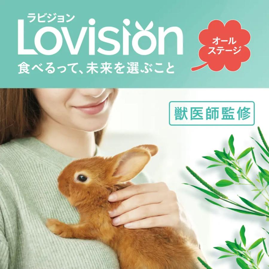 ラビジョン ラビットフード オールステージ 120g : チャーム charm