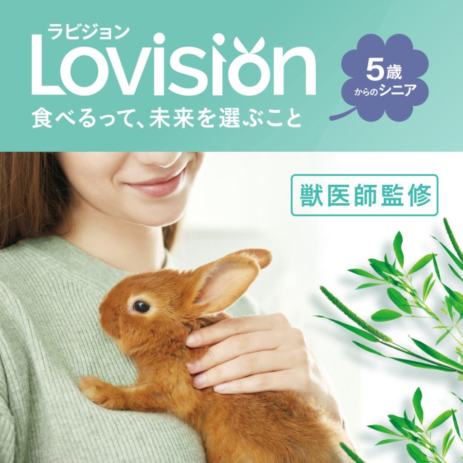 ラビジョン ラビットフード 5歳からのシニア 580g : チャーム