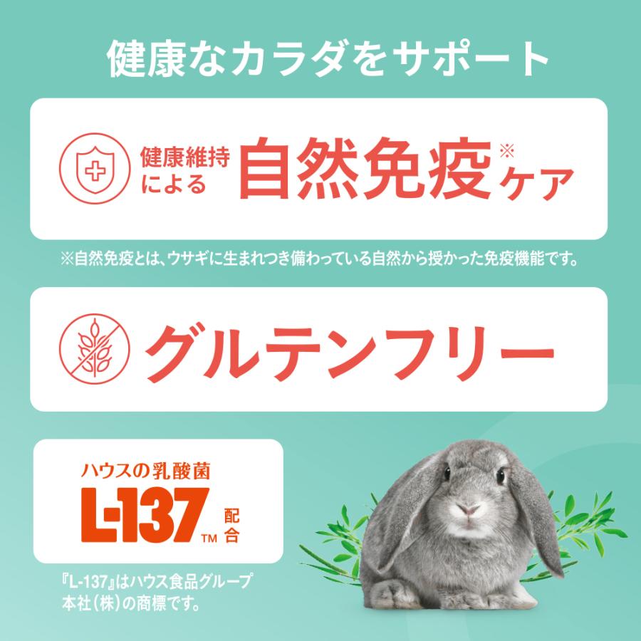 ラビジョン ラビットフード 5歳からのシニア 580g : チャーム