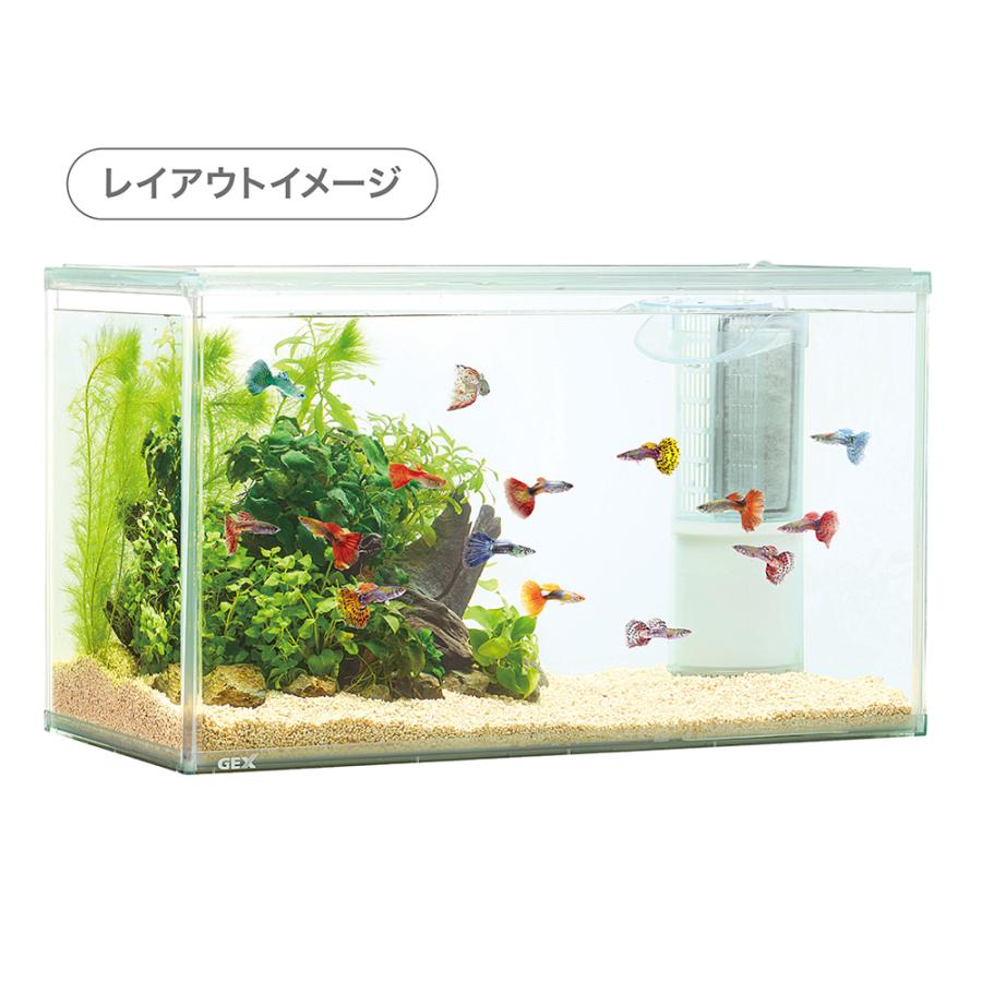 水槽フィルター 水槽用フィルター - Amazon.co.jp