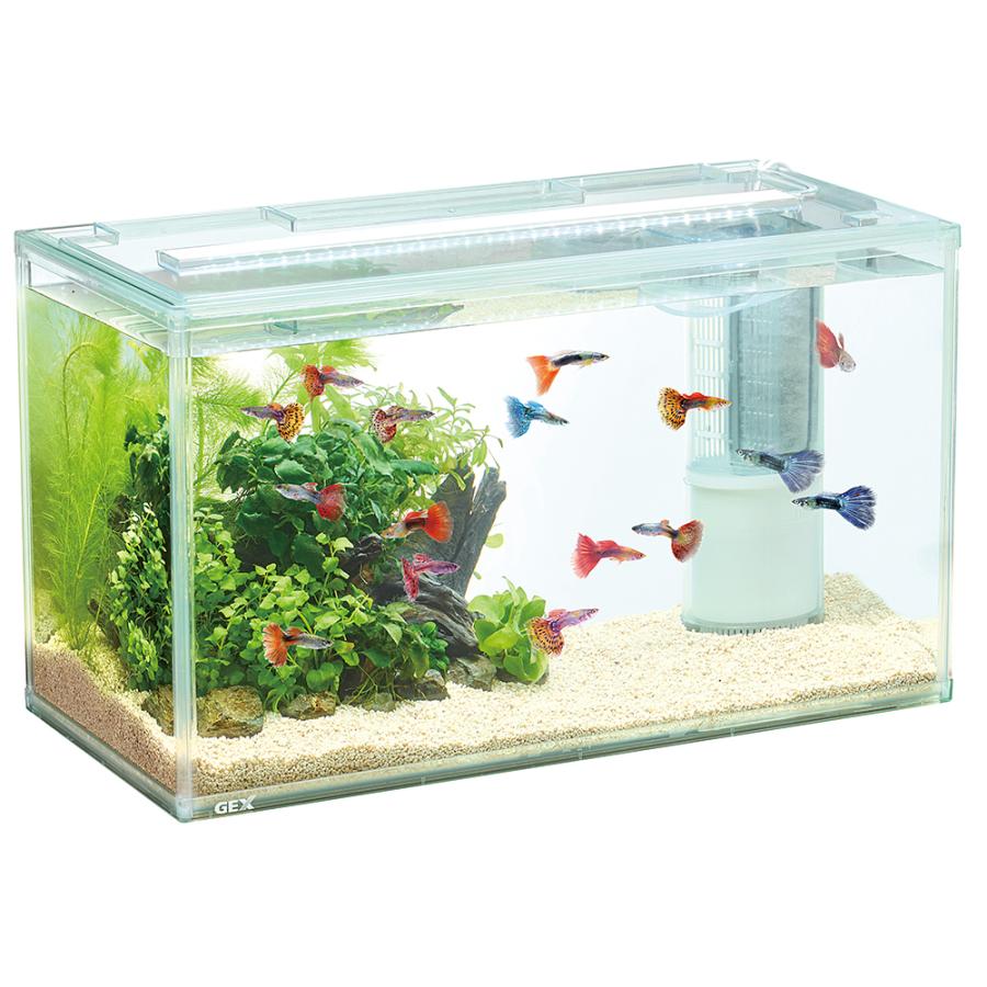 水槽セット ニッソー スライドプラス600 水槽セット 60cm水槽セット | チャーム