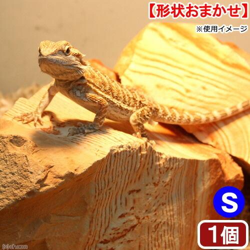 レッドラインストーン　Ｓ　１個　爬虫類 | Leaf Corp | 01