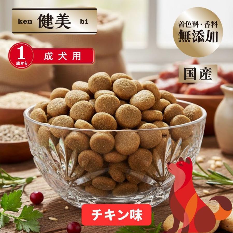 懐石　健美　成犬用　１歳から　１ｋｇ（２５０ｇ×４袋）　犬　ドッグフード | 懐石 | 06
