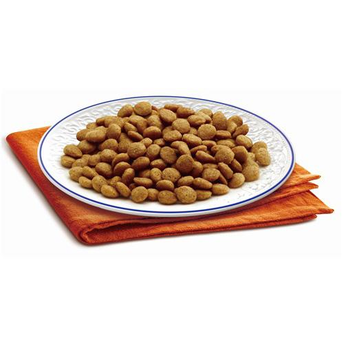 メディファス　アドバンス　グレインフリー　１歳から　チキン＆フィッシュ味　６ｋｇ（５００ｇ×１２） | Medyfas ADVANCE | 01