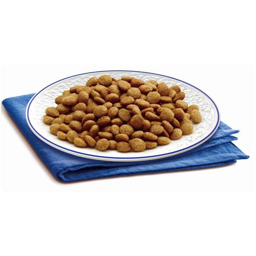 メディファス　アドバンス　グレインフリー　１歳から　フィッシュ味　６ｋｇ（５００ｇ×１２） | Medyfas ADVANCE | 01
