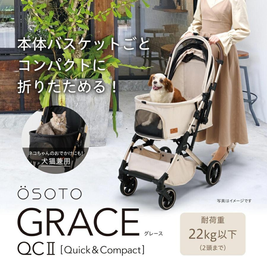 ＧＥＸ　ＯＳＯＴＯ　ＧＲＡＣＥ　ＱＣＩＩ　シュクレ |  | 01