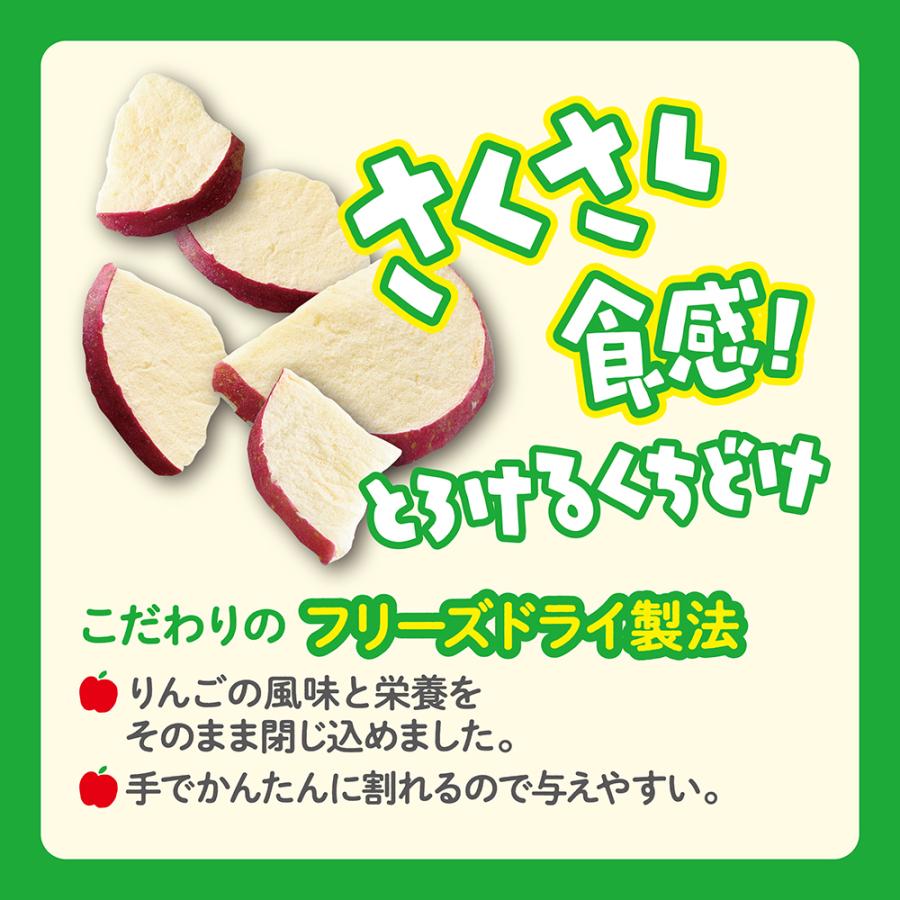 GEX さくっとまんぷくりんご フリーズドライ 45g 無添加 無着色
