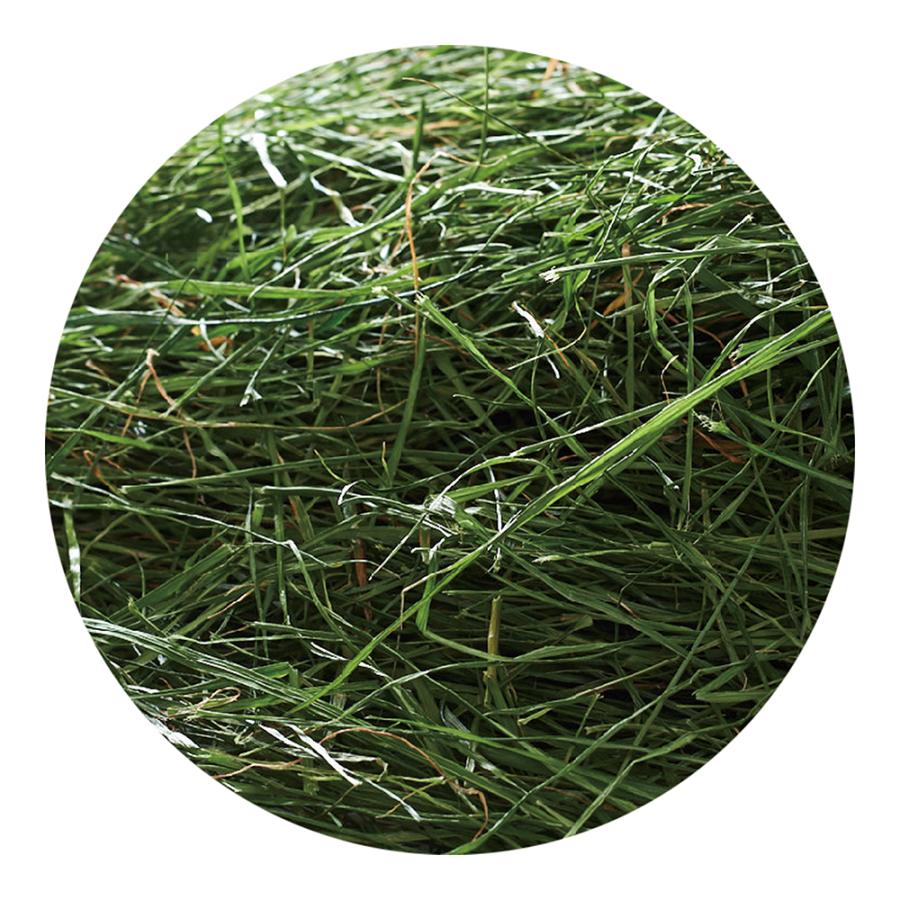 GEX 旬牧草 毎日ごほうび イタリアンライグラス 20g : チャーム