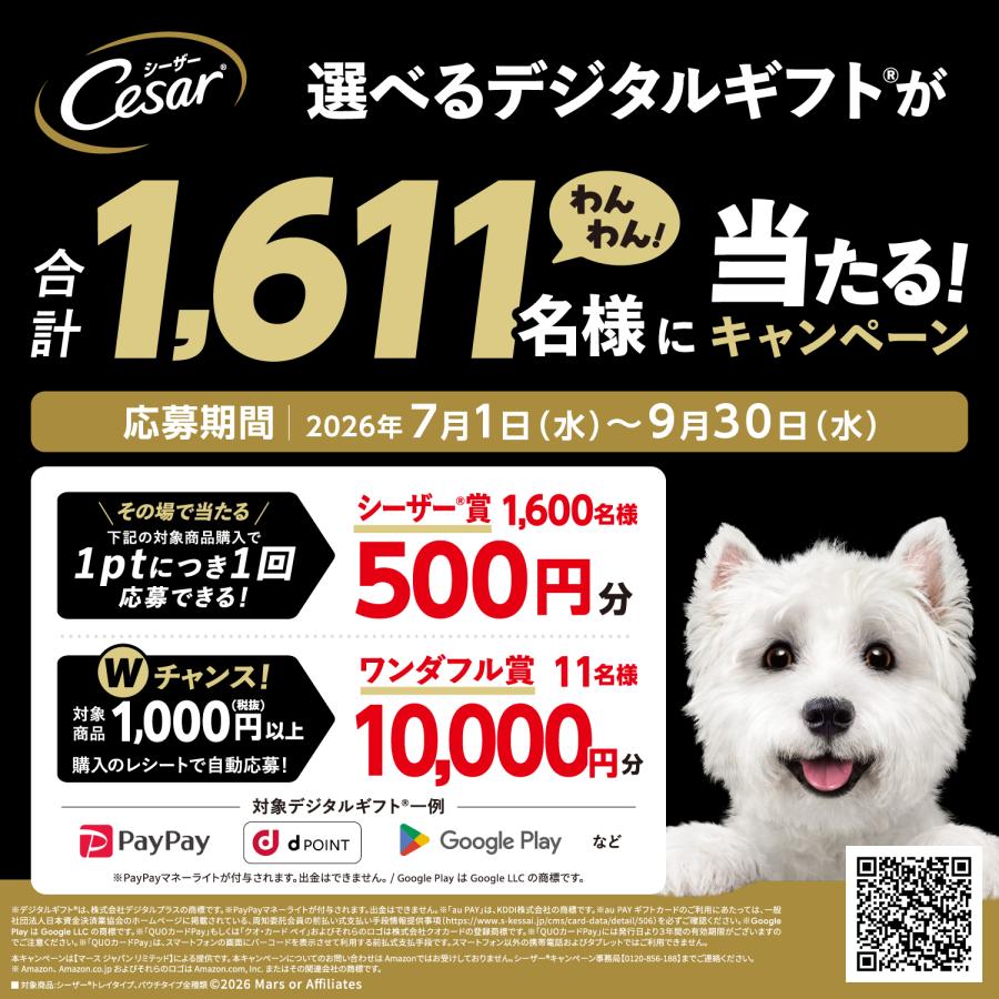 シーザー ウェットフード 成犬用 7種各6個 トレイ ドックフード