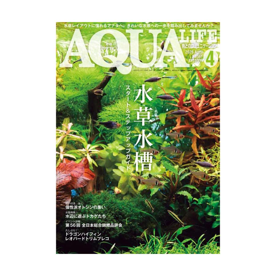 アクアライフ　４月号（２０２６） | 