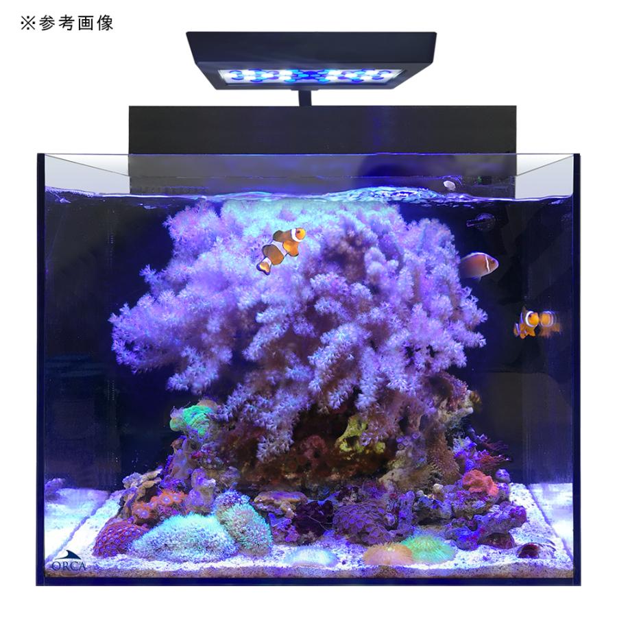 （送料込）オルカ shell2 オールインワンシステム水槽 ORCA SHELL2＋ オールインワンシステムタンク 水槽