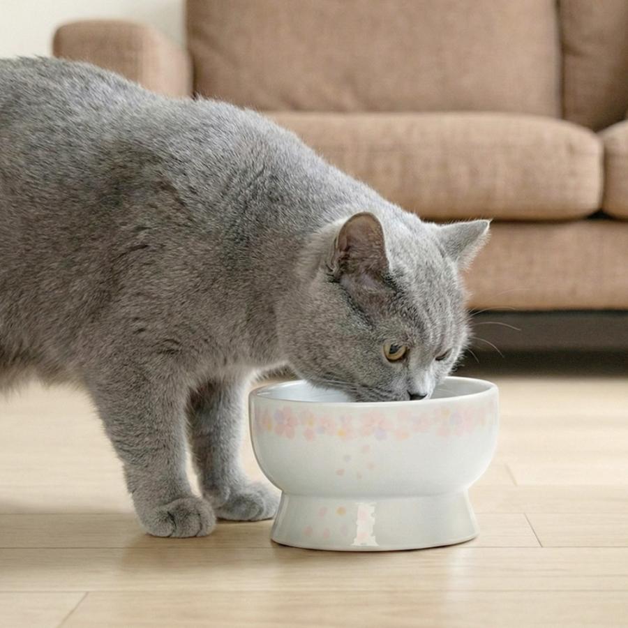 食器 猫用 猫壱 脚付ウォーターボウル レギュラー