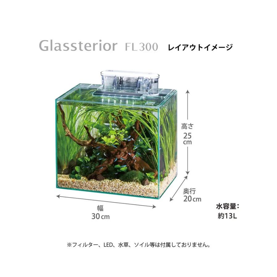 GEX グラステリアFL300 サイドフローフィルター＆USB