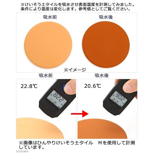 消臭調湿機能のあるデザインタイル Leaf Corp 調湿・消臭効果抜群！ ひんやりけいそう土タイル 四角 9