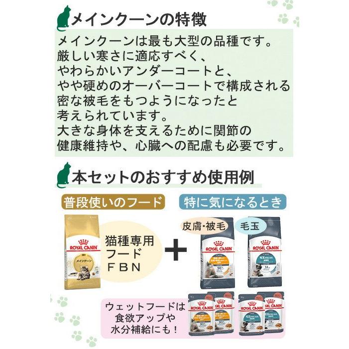 ロイヤルカナン（ROYAL CANIN） 【ウェット2袋おまけ付】ロイヤル