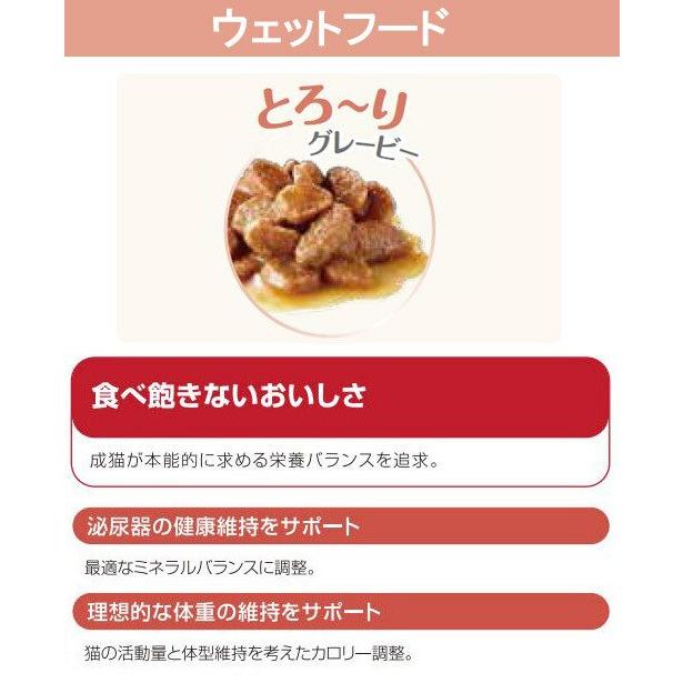 ロイヤルカナン（ROYAL CANIN） 【ウェット2袋おまけ付】ロイヤル