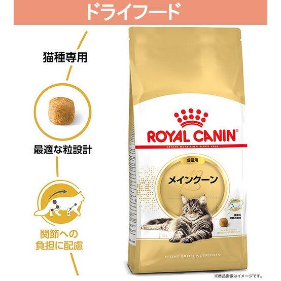 ロイヤルカナン（ROYAL CANIN） 【ウェット2袋おまけ付】ロイヤル
