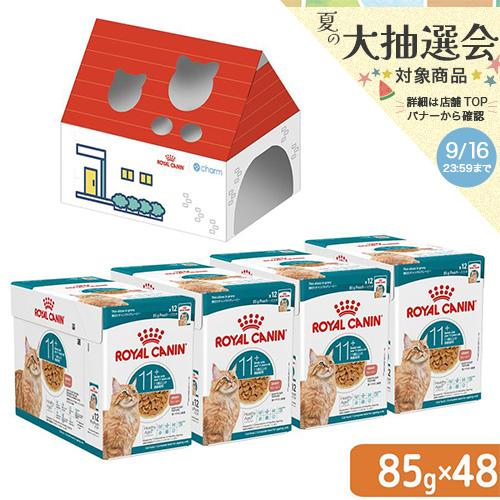【ロイヤルカナン 猫用】AGEING12+ エイジング 48袋 ロイヤルカナン（ROYAL CANIN） 猫 エイジング 11＋ 11歳以上の