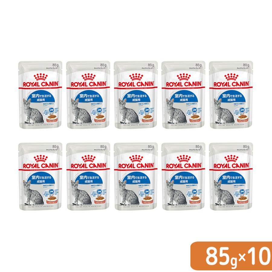 ロイヤルカナン（ROYAL CANIN） 【送料無料】ロイヤルカナン 猫 室内で