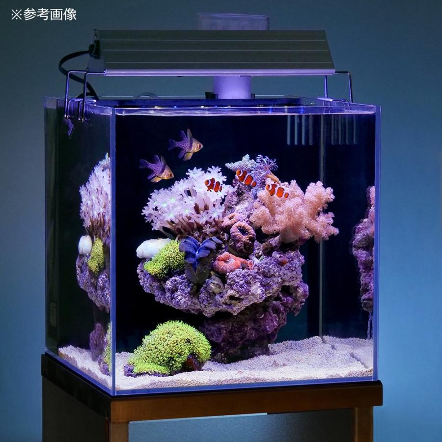ガラス水槽 アクロ 30cm 背面フロー水槽 スーパークリア 海水用6