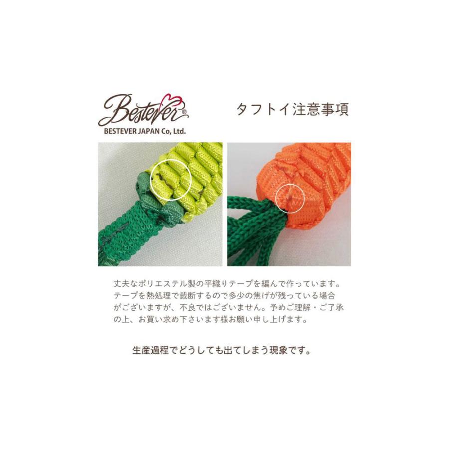 ＢＥＳＴＥＶＥＲ　ベストエバー　タフトイ　ダイコン　Ｍ |  | 01