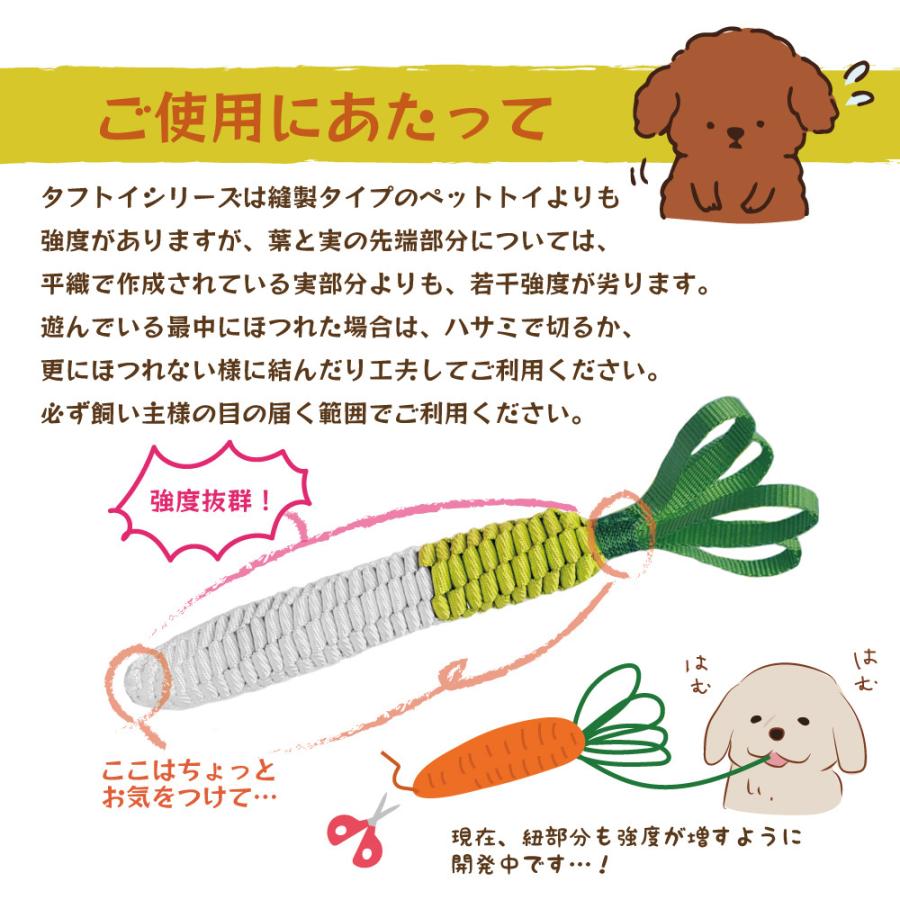 ＢＥＳＴＥＶＥＲ　ベストエバー　タフトイ　ダイコン　Ｍ |  | 02