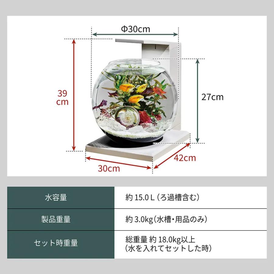 海水魚）デカペルコ＆タコクラゲ 飼育スタートセット 本州四国限定