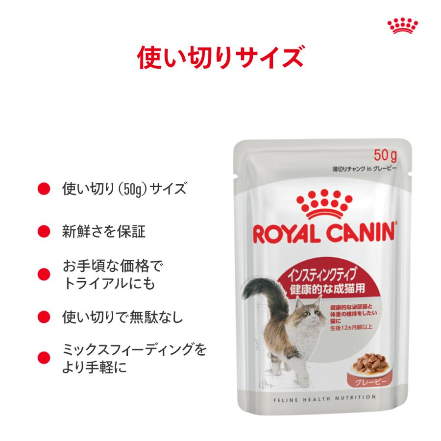 ロイヤルカナン（ROYAL CANIN） 猫 FHN−WET インスティン