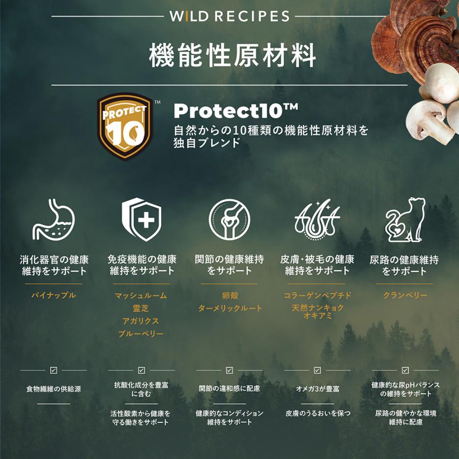 チャーム　ＣＨＡＲＭ　グラスフェッドラム　ドッグ缶　３７０ｇ |  | 03