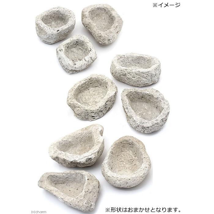 チャーム（charm） 形状お任せ 白溶岩石鉢 サイズミックス（1セット