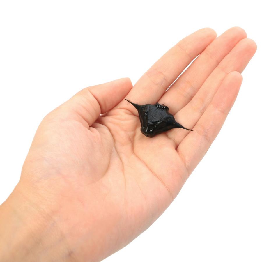 （ビオトープ）水生植物　ヒシの実　（菱の実）（３粒） |  | 02