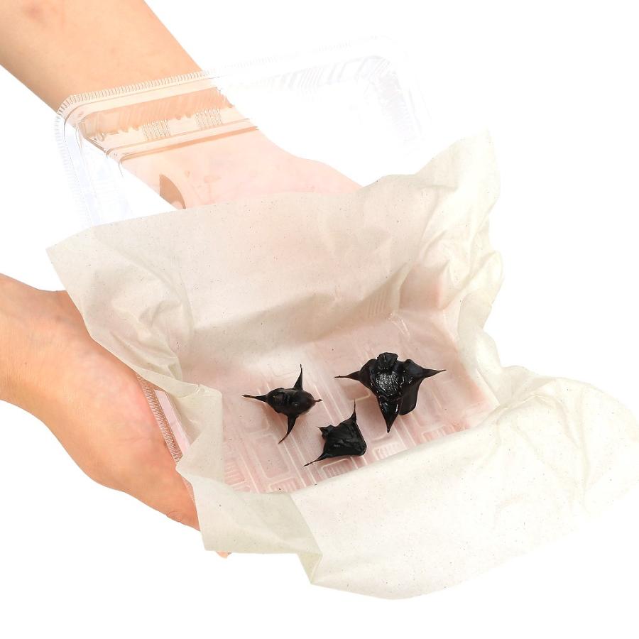 （ビオトープ）水生植物　ヒシの実３種セット（ヒシ、オニビシ、コオニビシ） |  | 01