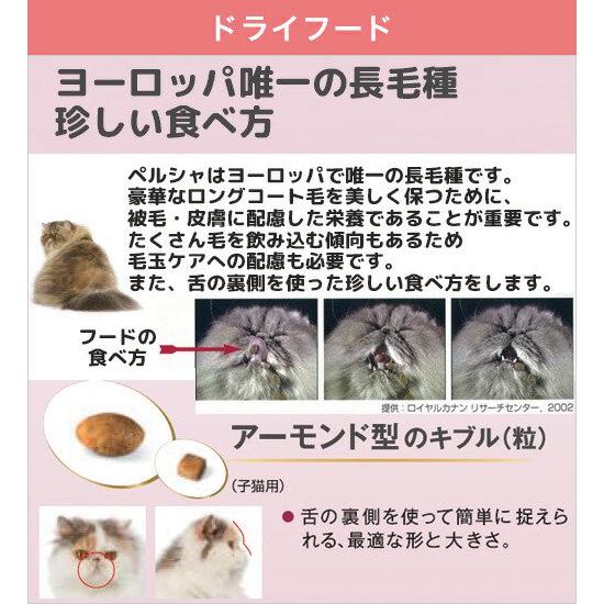 ロイヤルカナン（ROYAL CANIN） 子猫 50gパウチ×2袋 + ドライ