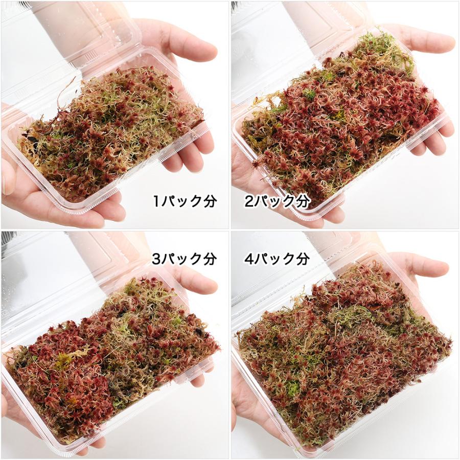 観葉植物 苔 ムラサキミズゴケ 紫水苔 １パック分 チャーム Charm ヤフー店 通販 Yahoo ショッピング