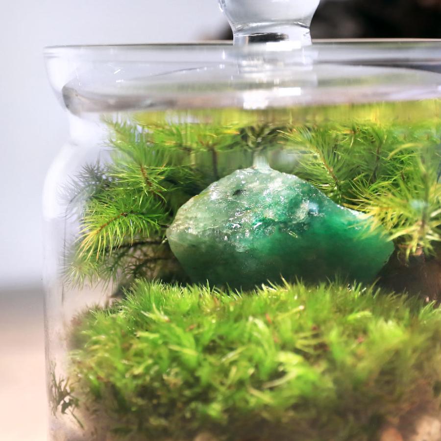 チャーム（charm） （観葉植物）苔テラリウム 鉱石レイアウト