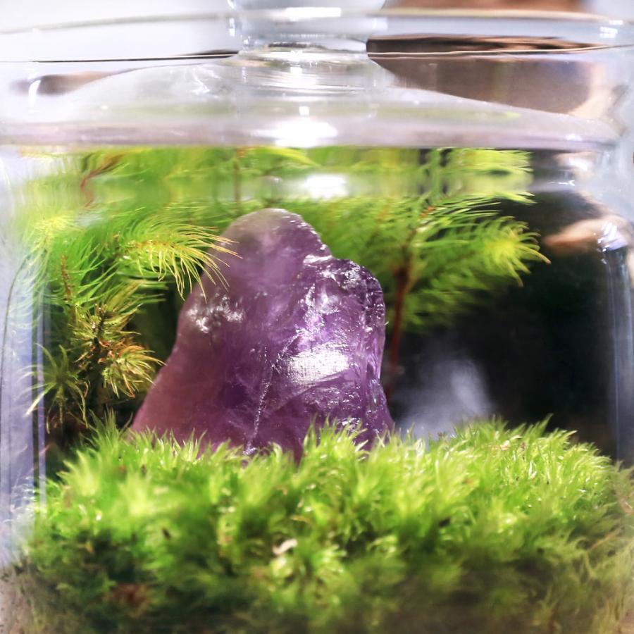 チャーム（charm） （観葉植物）苔テラリウム 鉱石レイアウト