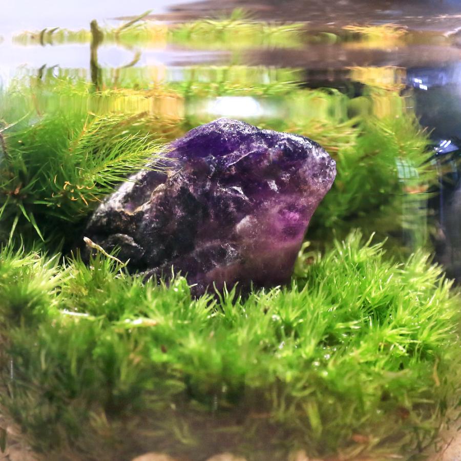 チャーム（charm） （観葉植物）苔テラリウム 鉱石レイアウト ダーク