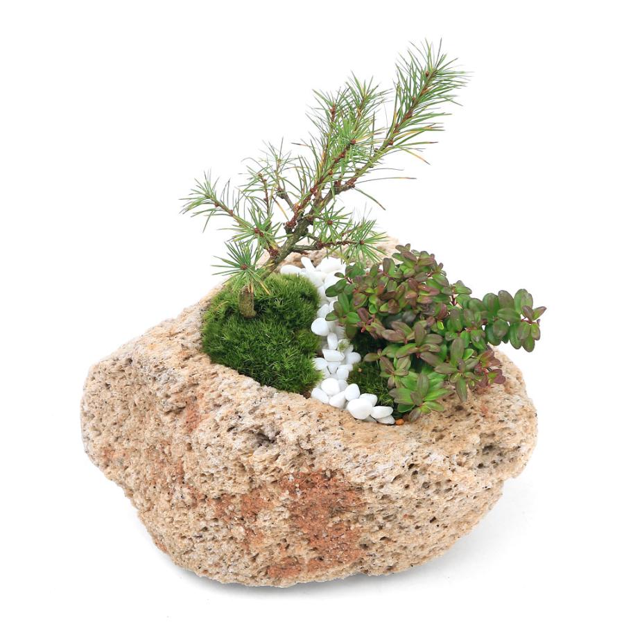 竹馬 盆栽鉢 植木鉢 山野草鉢 ㊷ 鉢・プランター 