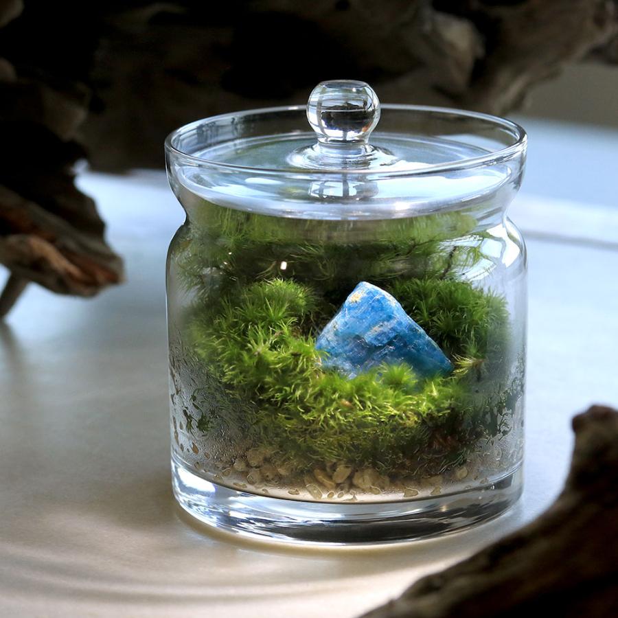 観葉植物 水石 ガラス容器 （観葉植物）苔テラリウム 鉱石レイアウト  