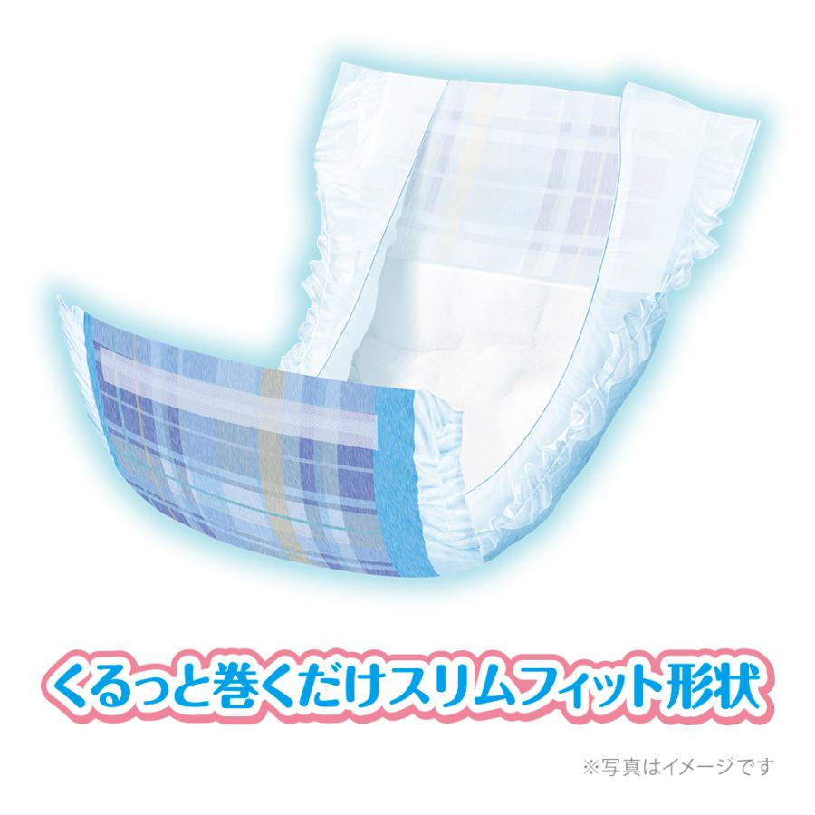 犬　おむつ　マナーウェア　男の子用　ＳＳサイズ　青チェック・紺チェック　４８枚　超小〜小型犬用 | マナーウェア | 01