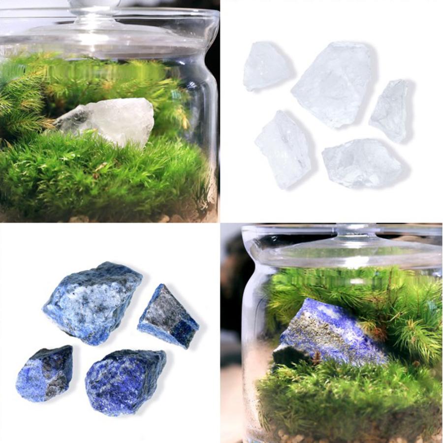 観葉植物）苔テラリウム 地球の歴史を感じよう 鉱石・化石レイアウト3