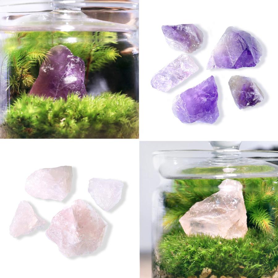 観葉植物）苔テラリウム 地球の歴史を感じよう 鉱石・化石レイアウト3