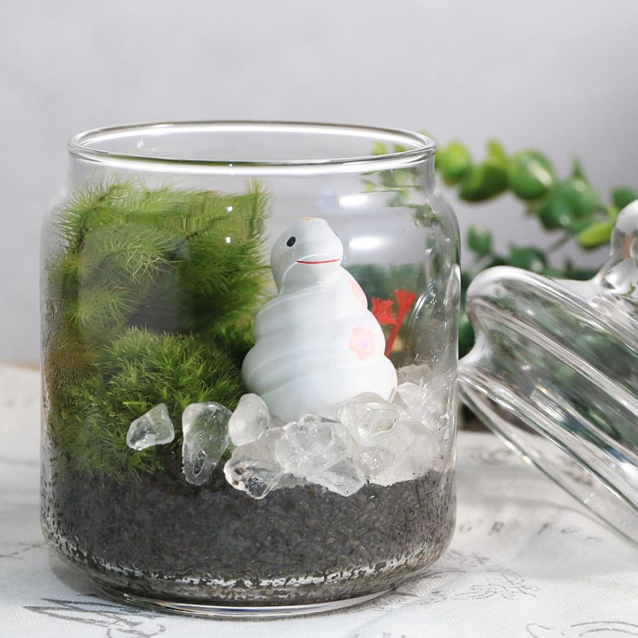観葉植物）苔テラリウム（ヤマゴケ・ヒノキゴケ）白蛇の置物付き