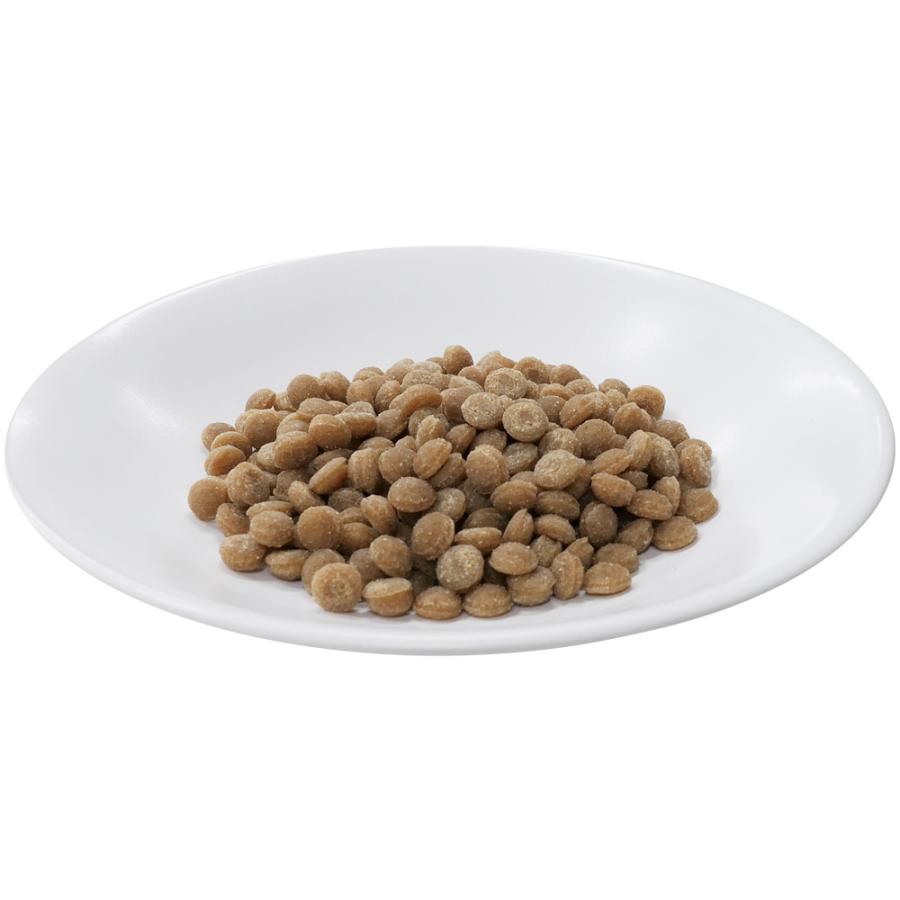 デビフ　クローバースタイル　素材の旨味　鶏肉　シニア犬用　半生タイプ　２００ｇ（５０ｇ×４袋） | デビフペット | 01