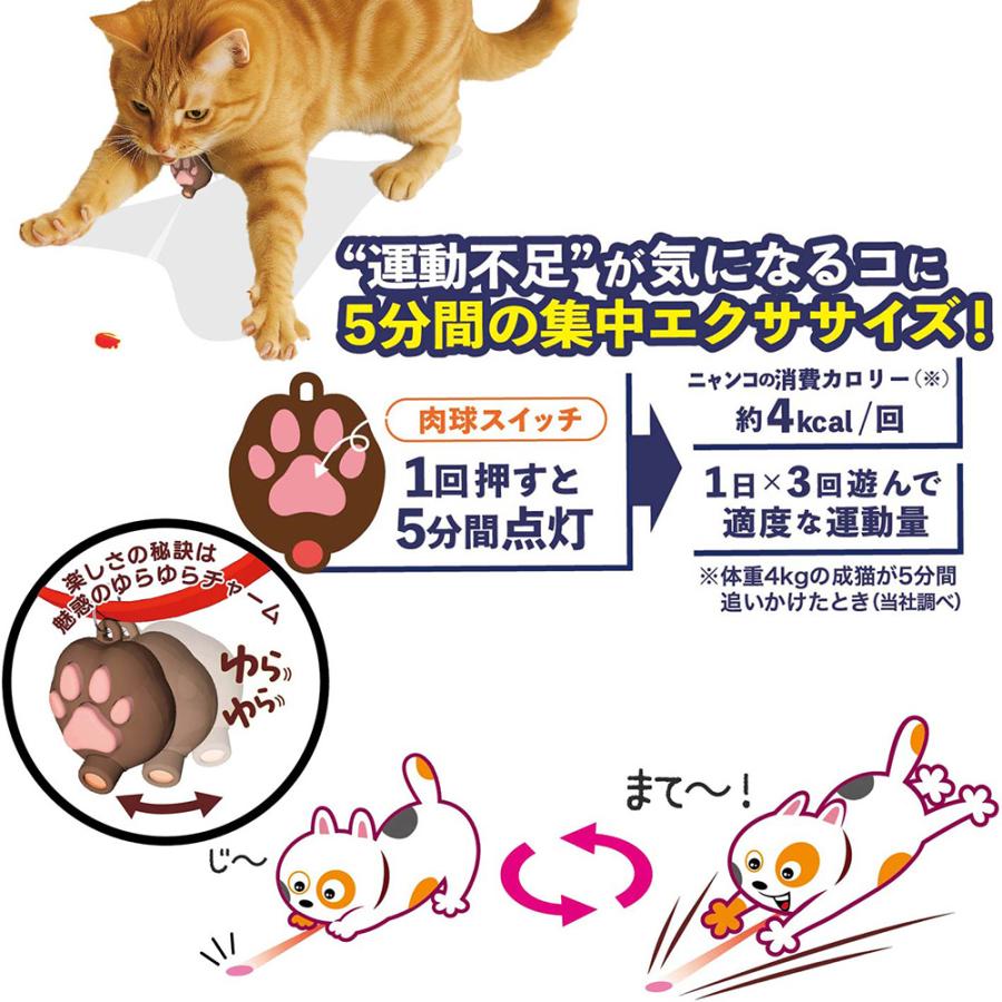 ドギーマン じゃれ猫 首につけるLEDニャンだろ〜？！光線