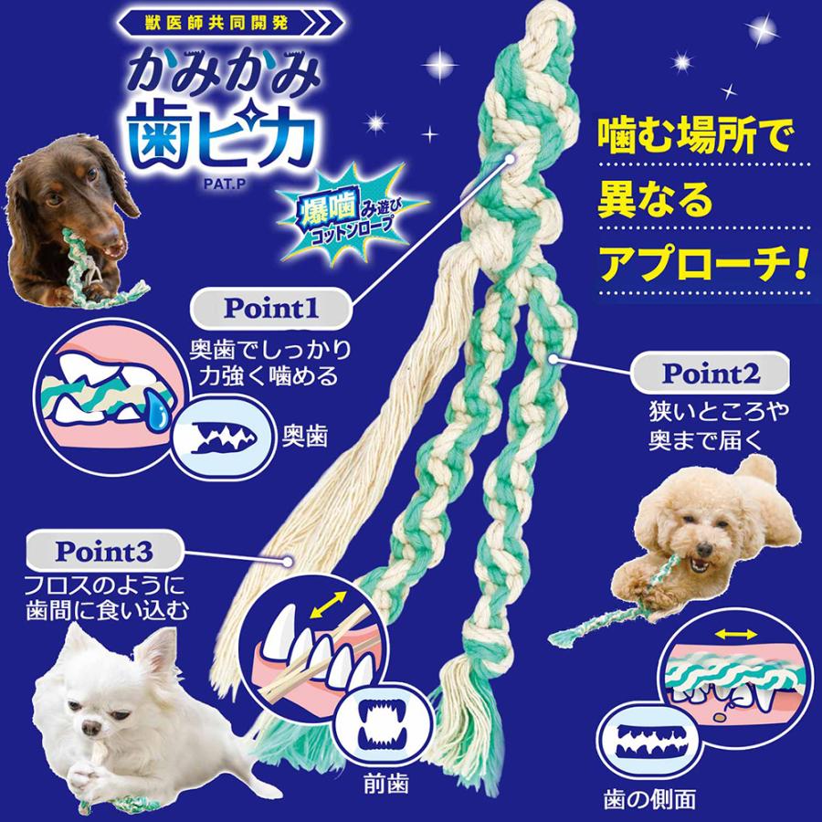 ドギーマン　かみかみ歯ピカ　爆噛み遊びコットンロープ　Ｍｉｎｉ |  | 03