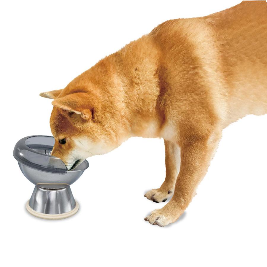 ドギーマン　飲み水・フードの飛び散り防止カバー　ドームタイプ＆ステンレスのテーブル食器　犬用Ｓ |  | 01