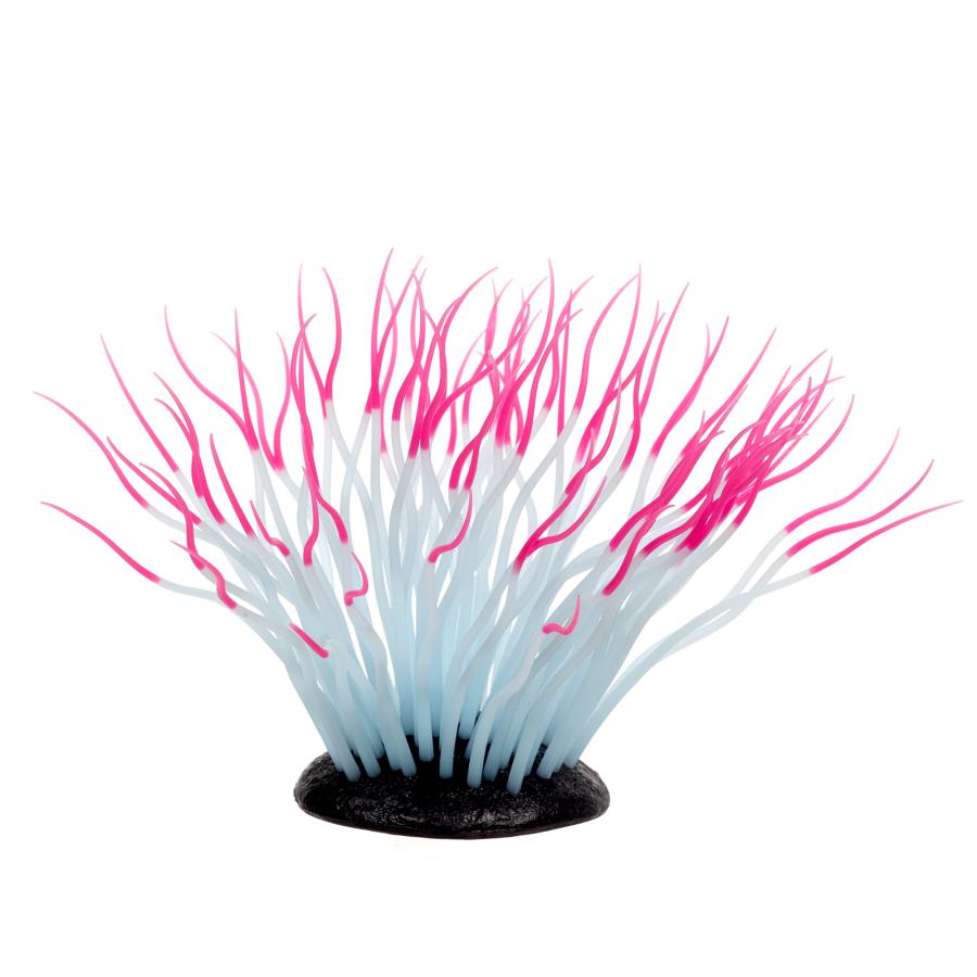 カミハタ　いそぎんちゃくん　Ｍ　ピンク　水槽用オブジェ　アクアリウム用品 | カミハタ