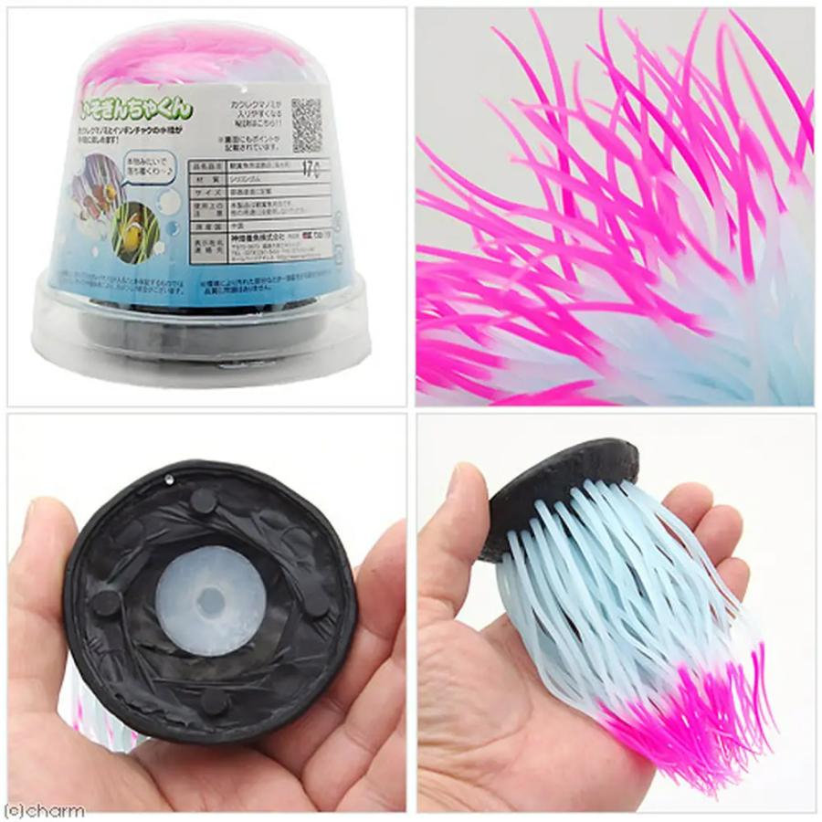 カミハタ　いそぎんちゃくん　Ｍ　ピンク　水槽用オブジェ　アクアリウム用品 | カミハタ | 02