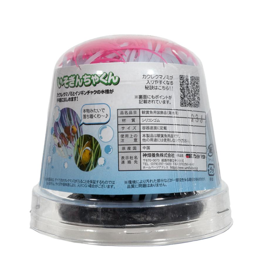 カミハタ　いそぎんちゃくん　Ｍ　ピンク　水槽用オブジェ　アクアリウム用品 | カミハタ | 05
